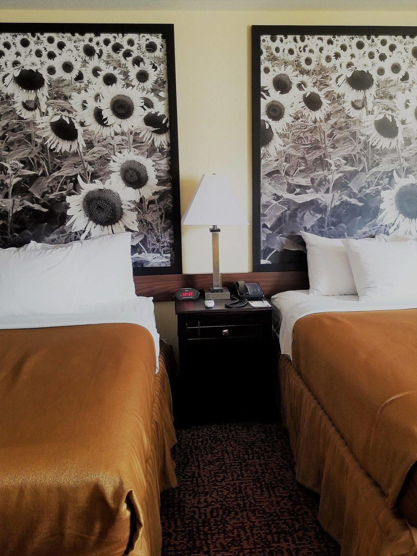 Hotel Super 8 By Wyndham Des Moines Zewnętrze zdjęcie